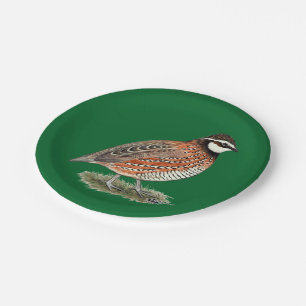 Bobwhite Quail Rooster Pappteller