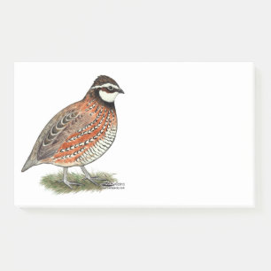 Bobwhite Quail Rooster Post-it Klebezettel