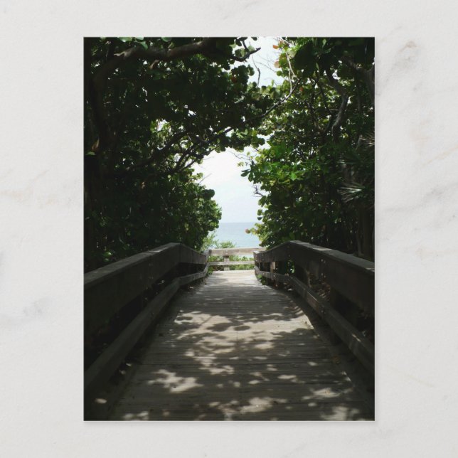 Boca Beach Boardwalk Postkarte (Vorderseite)