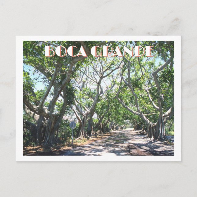 Boca Grande, Gasparilla Island, Florida Banyans Postkarte (Vorderseite)