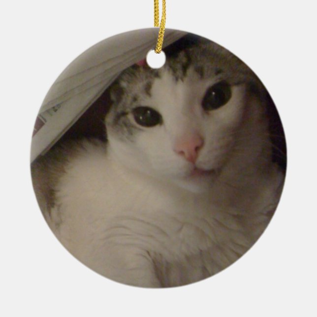Bockig die Katzenverzierung Keramikornament (Vorne)