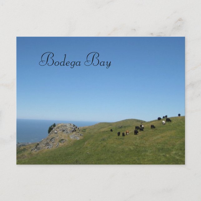 Bodega Bay, Ca, Postkarte (Vorderseite)