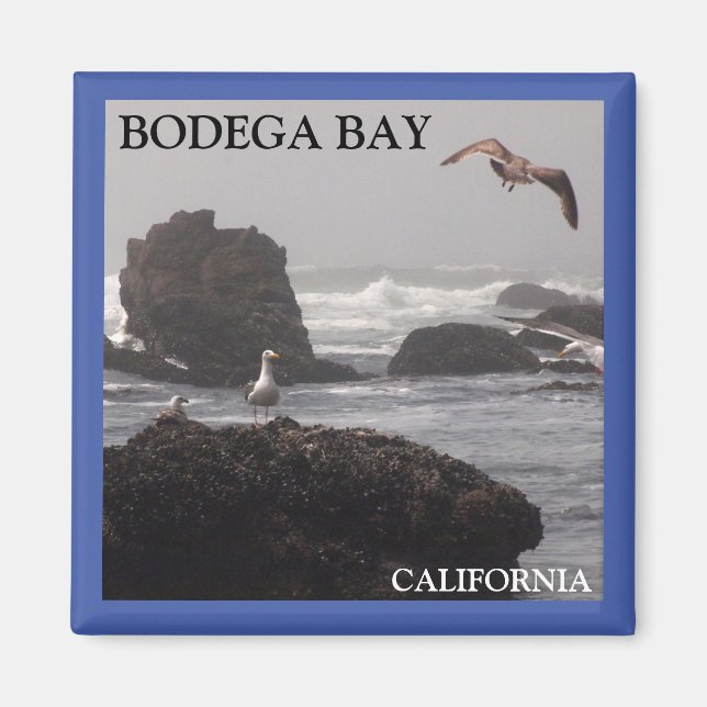 Bodega Bay-Magnet Magnet (Vorne)