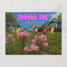 Bodega Bay Postcard