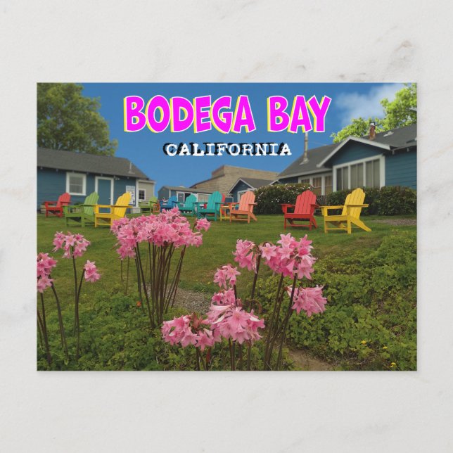 Bodega Bay Postcard Postkarte (Vorderseite)