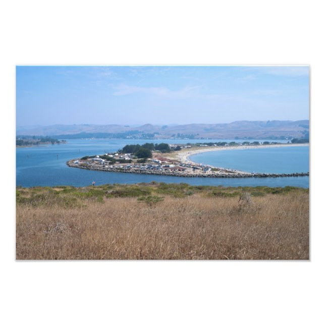 Bodega Harbour und Doran Park Fotodruck (Vorne)