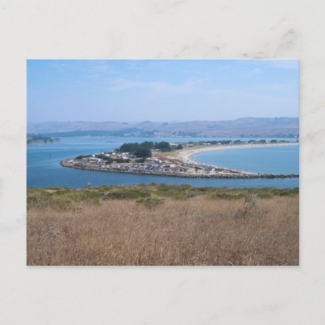 Bodega Harbour und Doran Park Postkarte (Vorderseite)