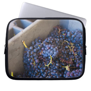 Bodega Marques de Riscal Weingut, Trauben Laptopschutzhülle