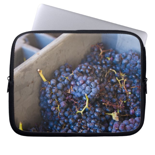 Bodega Marques de Riscal Weingut, Trauben Laptopschutzhülle (Vorderseite)
