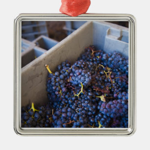 Bodega Marques de Riscal Weingut, Trauben Ornament Aus Metall