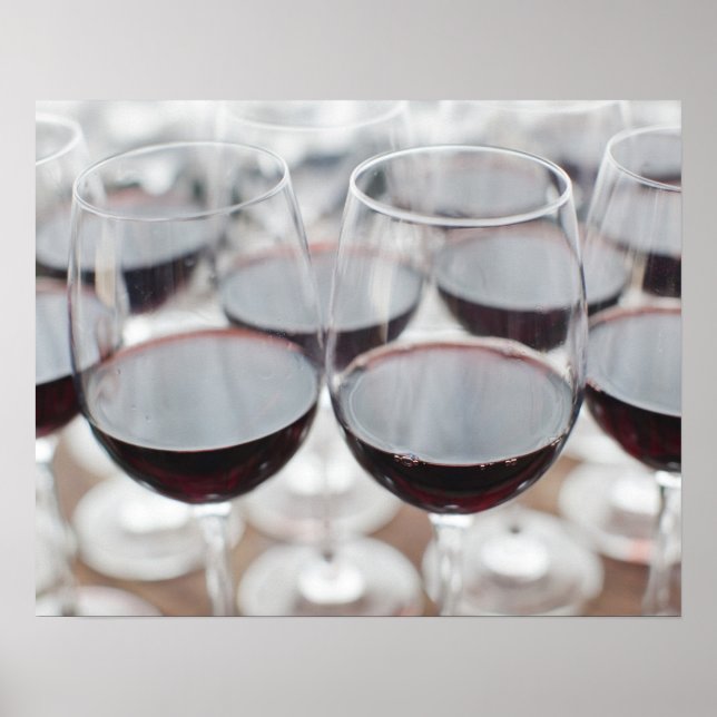 Bodega Marques de Riscal Weingut, Weinprobe Poster (Vorne)