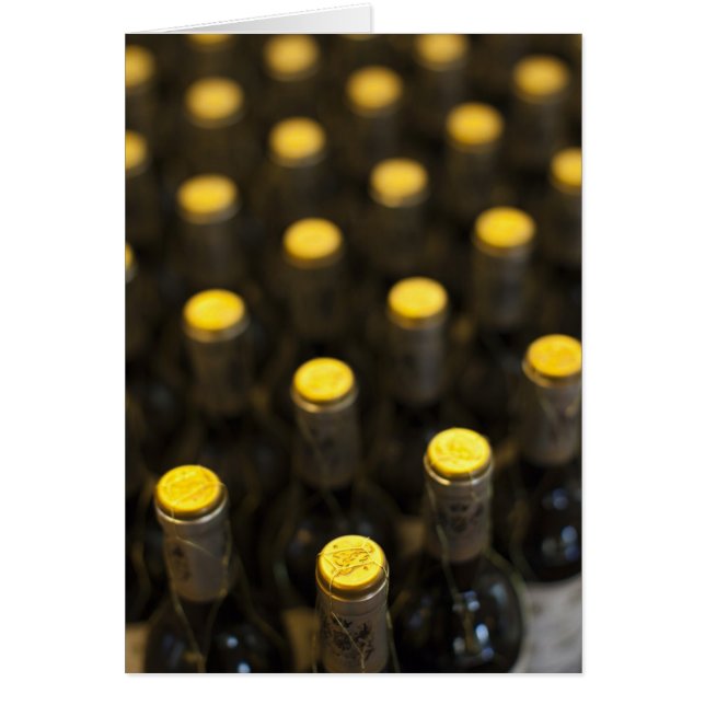 Bodega Marques de Riscal Weinkellerei, Weinflasche (Vorne)