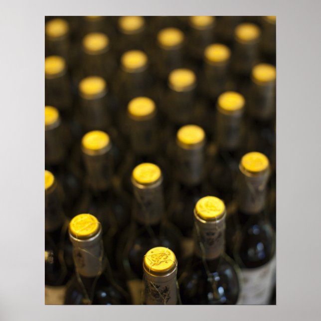 Bodega Marques de Riscal Weinkellerei, Weinflasche Poster (Vorne)