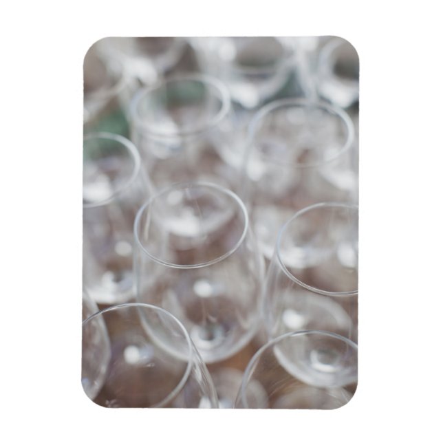 Bodega Marques de Riscal winery, wine tasting Magnet (Vertikal)