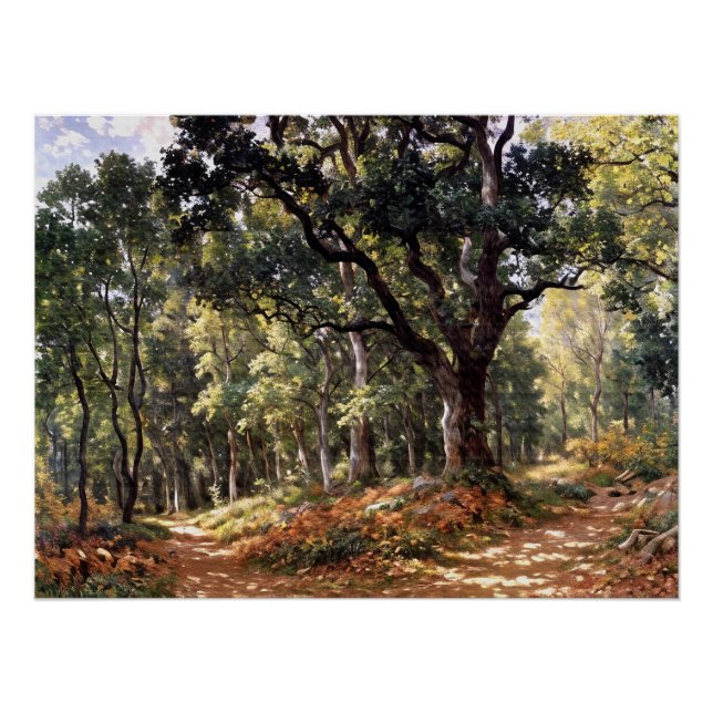 Bodmer Oak Poster (Vorderseite)