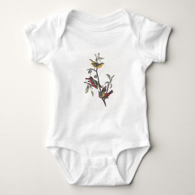 Body Audubon Peint Bunting Bird Wildlife (Devant)