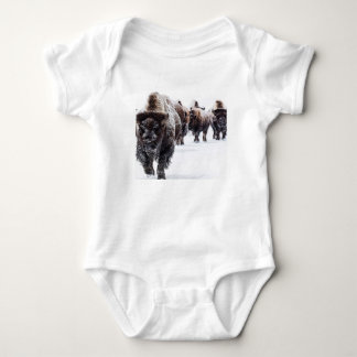 Body Buffalo