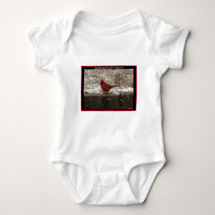 Body Cardinal Hot Springs Nat. Cadeaux AR Park Mountain