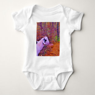 Body Chèvres colorées