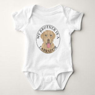 Body Chien labrador Dudley