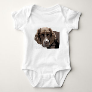 Body Chiens Springer anglais