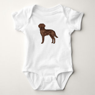Body Chocolat Labrador Retriever Cartographie Lab Chien