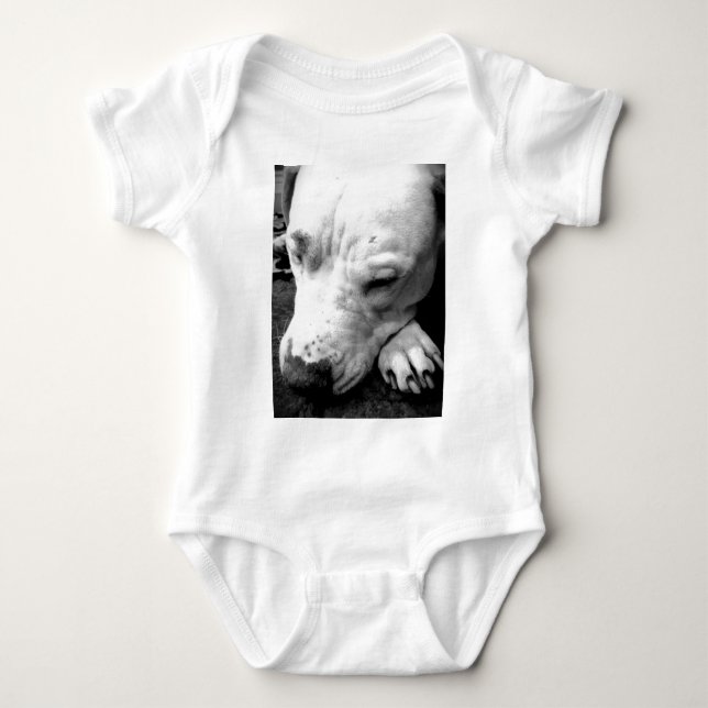 Body cicatrice de harry potter chien pit bull blanc (Devant)