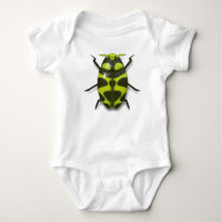 Coléoptère insecte mignon noir vert
