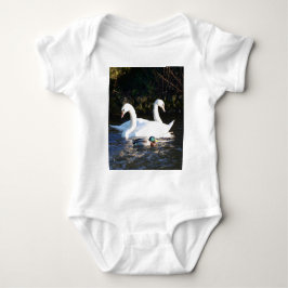 Body Deux cygnes et un canard