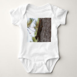 Body Écureuil supérieur