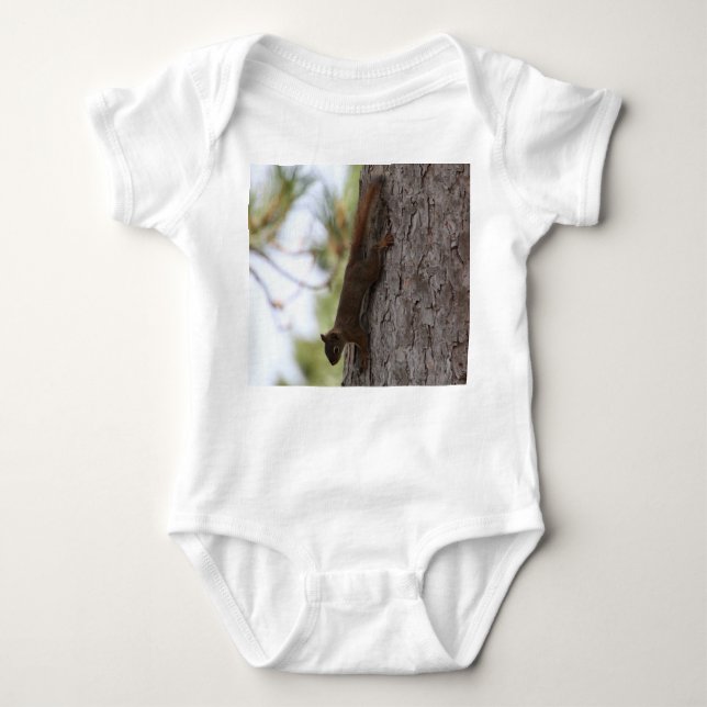 Body Écureuil supérieur (Devant)