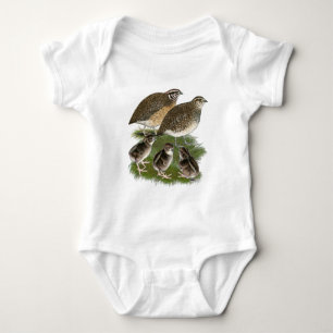 Body Famille de Cailles Coturnix