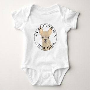 Body Fawn Tan Cream Chihuahua Chien Grand Frère