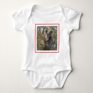 Body Grevillea Koala Bear,