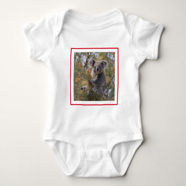 Body Grevillea Koala Bear, (Devant)