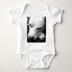 Body harry potier cicatrice chien blanc pit bull