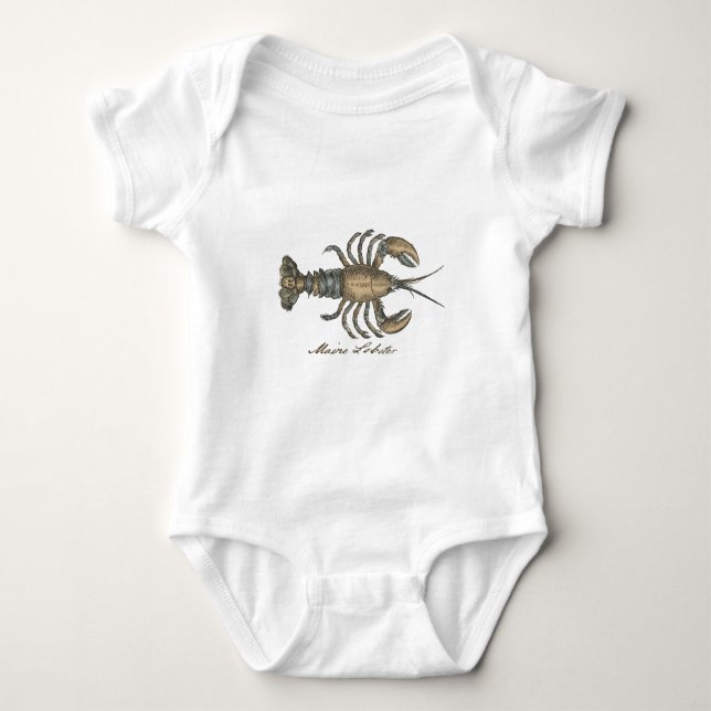 Body Illustration de homard, fruits de mer du Maine (Devant)