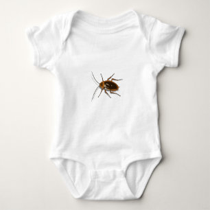 Body Insecte Brown réaliste de cancrelat