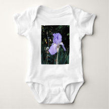Iris bleu