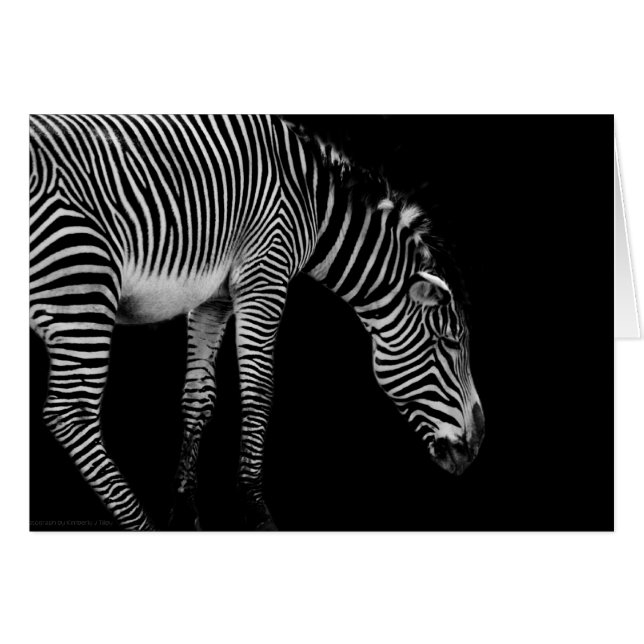 Body Language Card (Vorderseite (Horizontal))