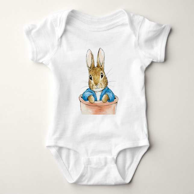 Body Lapin classique assis dans un pot de fleurs    (Devant)