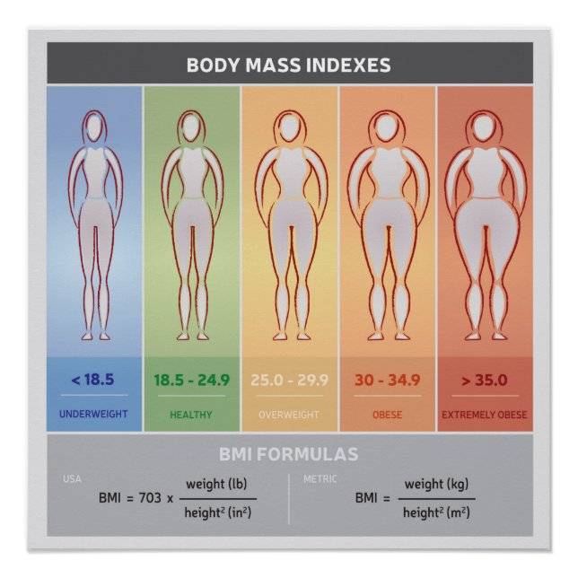Body Mass Index Illustration mit Body-Silhouetten Poster (Vorderseite)