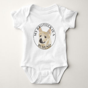 Body Norvégien Buhund Chien Big Brother