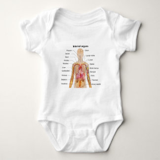Body Organes internes importants dans le diagramme de