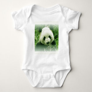 Body Panda