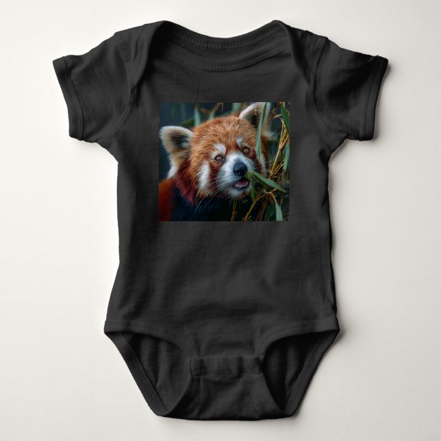 Body Panda roux (Devant)