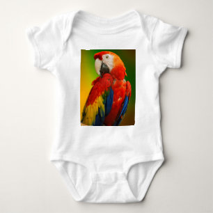 Body Perroquet macaw