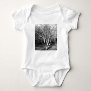 Body Photo carré - Arbre