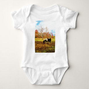 Body Poney miniature noir et blanc / Cheval