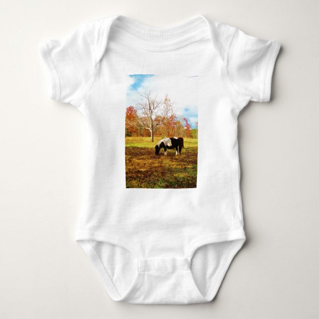 Body Poney miniature noir et blanc / Cheval (Devant)